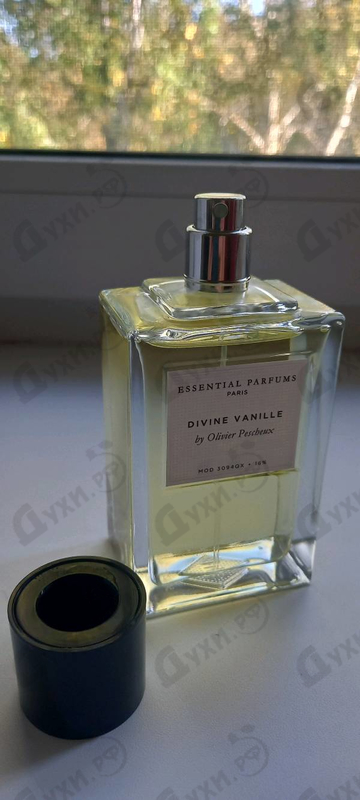 Купить Divine Vanille от Essential Parfums