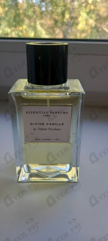 Купить Divine Vanille от Essential Parfums