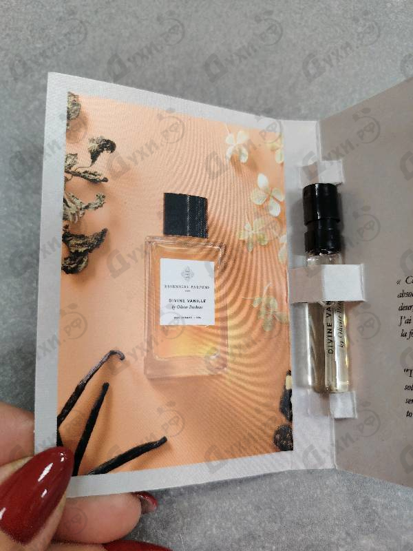 Купить Divine Vanille от Essential Parfums
