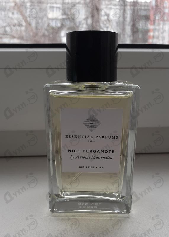 Купить Nice Bergamote от Essential Parfums