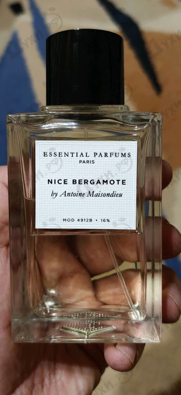 Купить Nice Bergamote от Essential Parfums