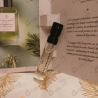 Духи Nice Bergamote от Essential Parfums