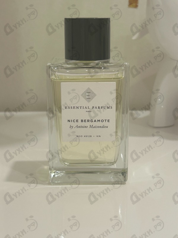 Купить Nice Bergamote от Essential Parfums