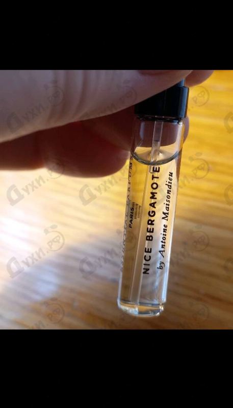 Купить Nice Bergamote от Essential Parfums