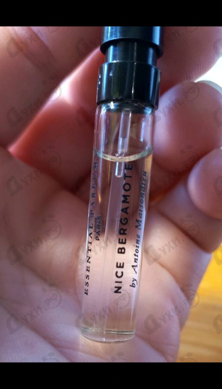 Купить Nice Bergamote от Essential Parfums