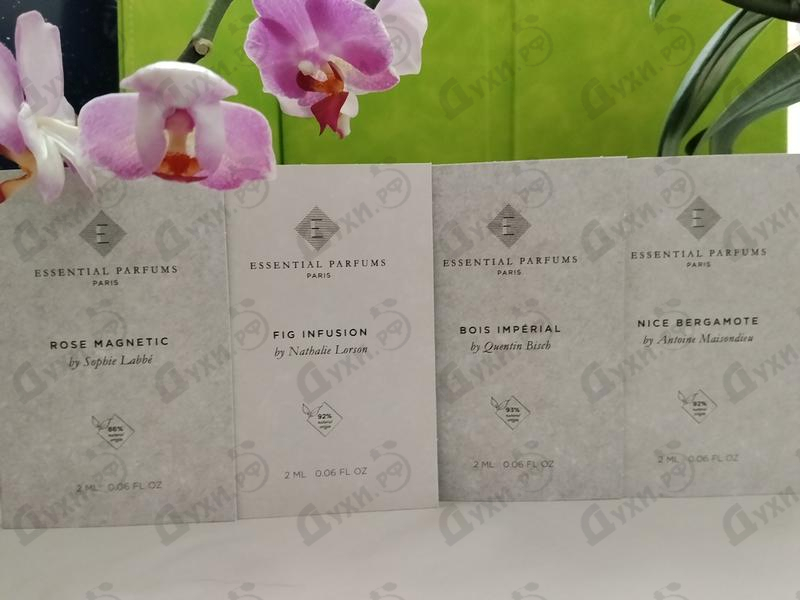 Купить Essential Parfums Nice Bergamote