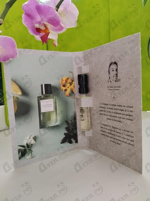 Духи Nice Bergamote от Essential Parfums