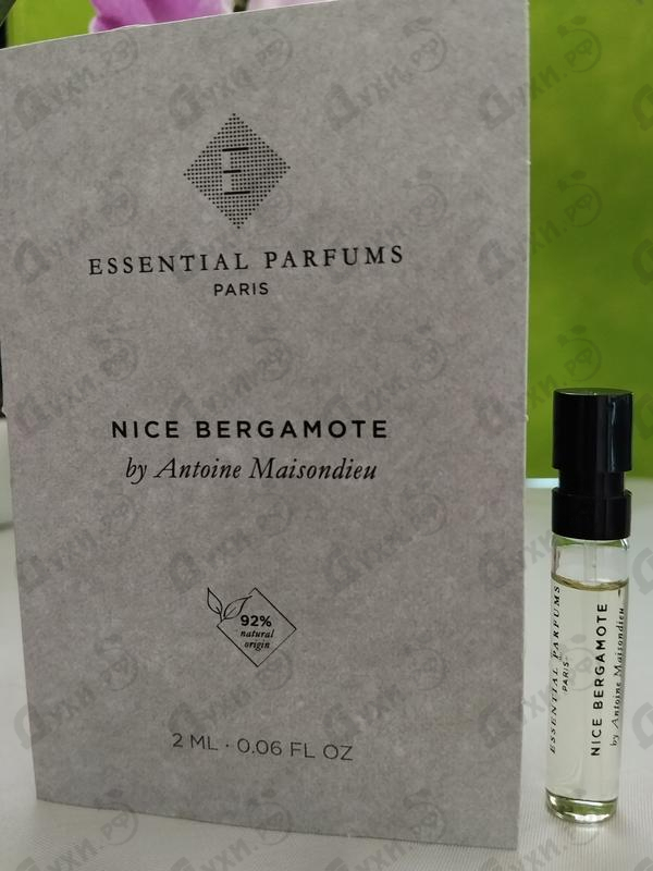 Купить Nice Bergamote от Essential Parfums