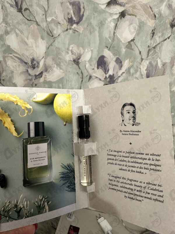 Купить Nice Bergamote от Essential Parfums