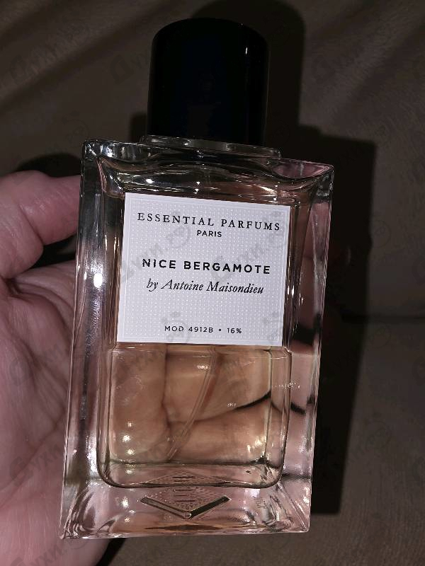 Купить Nice Bergamote от Essential Parfums