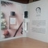 Духи Rose Magnetic от Essential Parfums