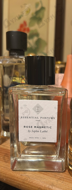 Купить Rose Magnetic от Essential Parfums