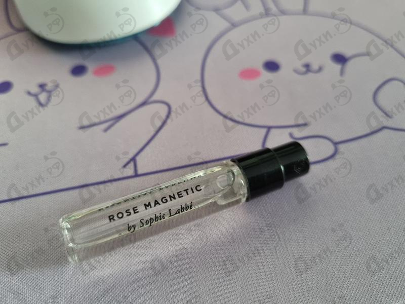 Купить Rose Magnetic от Essential Parfums