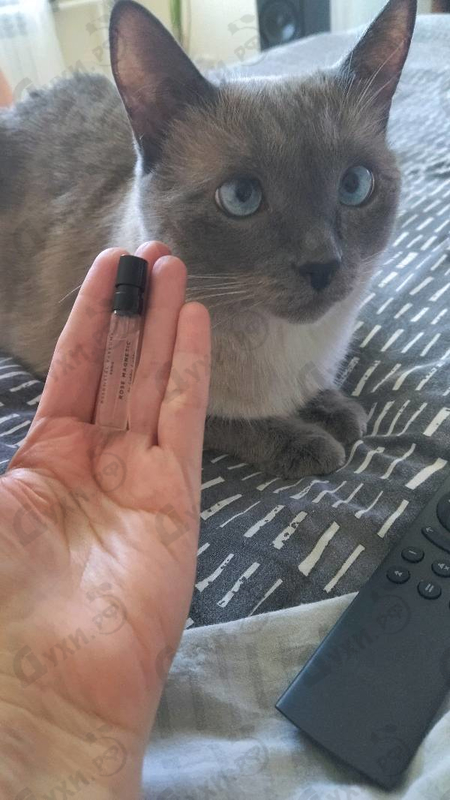 Духи Rose Magnetic от Essential Parfums