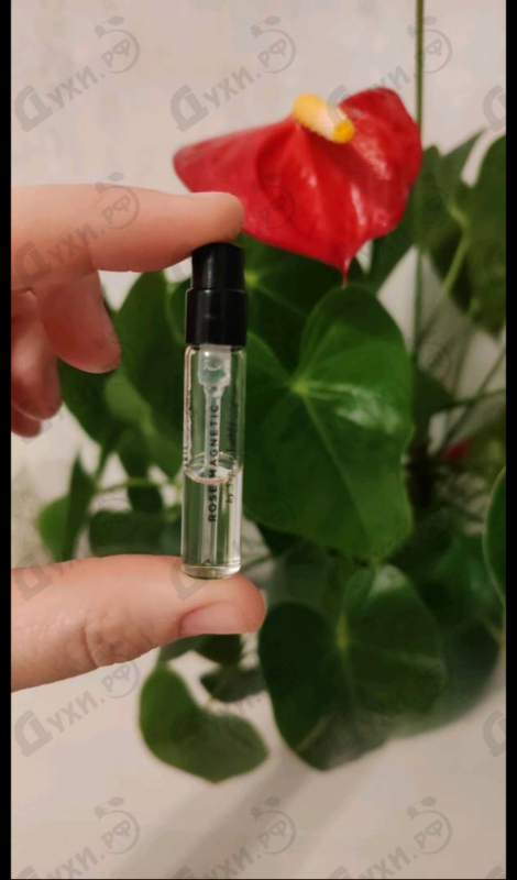 Купить Essential Parfums Rose Magnetic