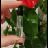 Купить Essential Parfums Rose Magnetic