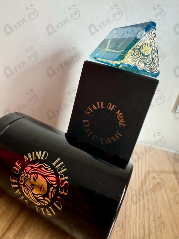 Купить Open Mind от State of Mind