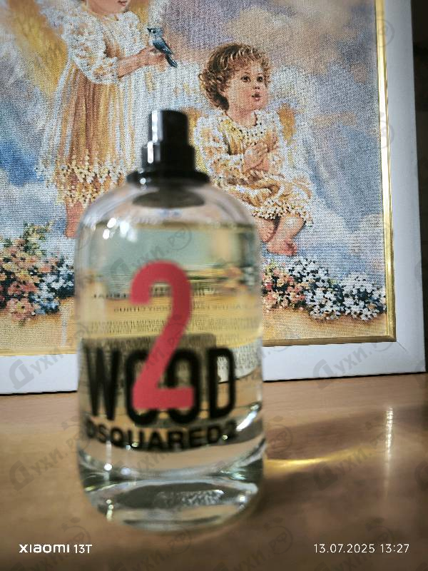 Купить 2 Wood от Dsquared2