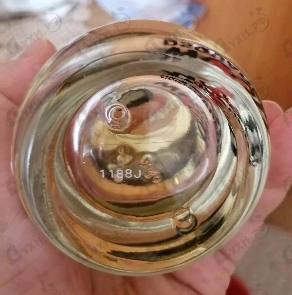 Купить 2 Wood от Dsquared2