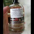 Отзыв Dsquared2 2 Wood