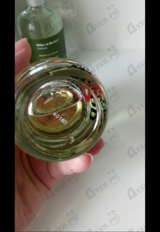 Купить 2 Wood от Dsquared2