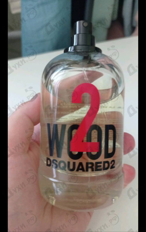 Купить 2 Wood от Dsquared2