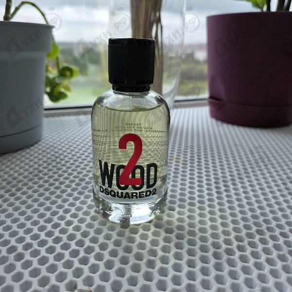Купить 2 Wood от Dsquared2