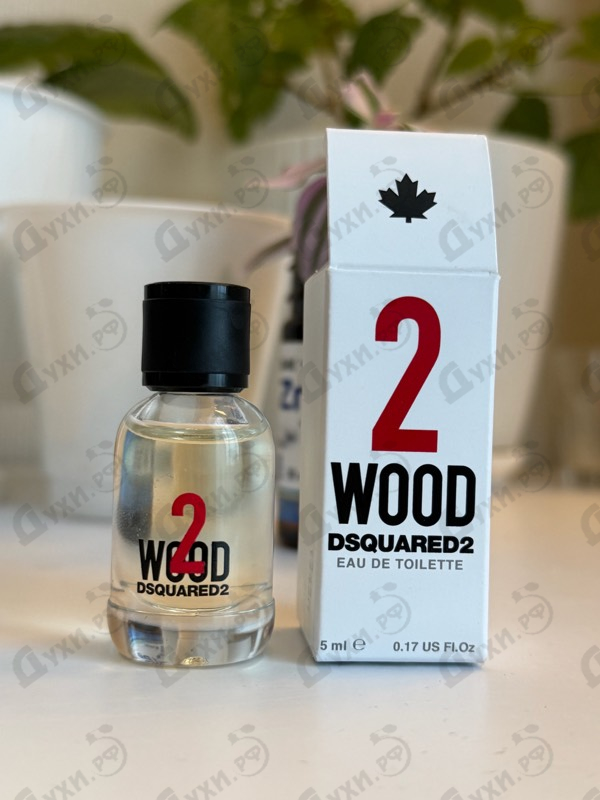 Отзывы Dsquared2 2 Wood