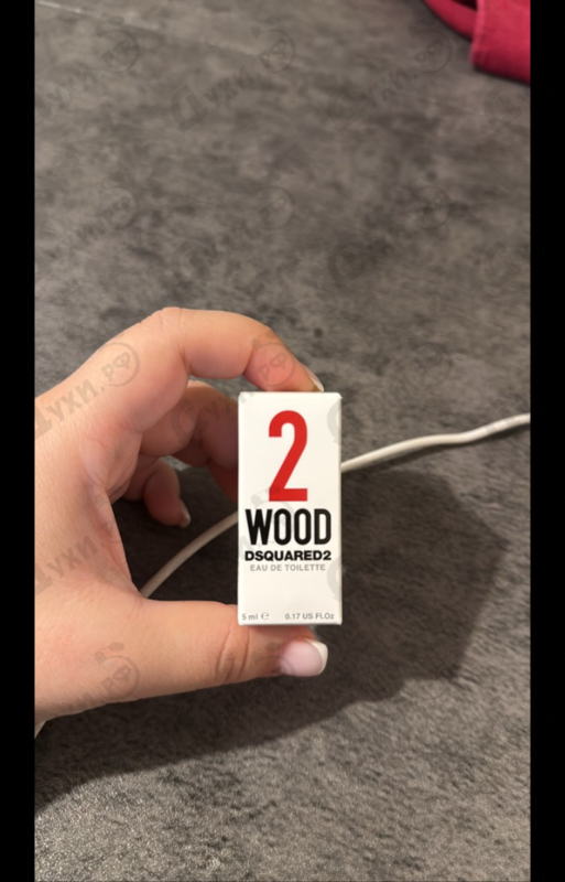 Купить 2 Wood от Dsquared2