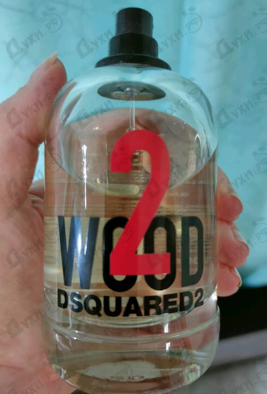 Купить 2 Wood от Dsquared2