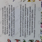 Отзыв Christian Dior Miss Dior Eau de Parfum (2021)