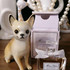 Отзыв Christian Dior Miss Dior Eau de Parfum (2021) Духи Miss Dior Eau de Parfum (2021) от Christian Dior