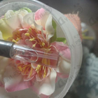 Парфюм Armand Basi Scent Of Kiss Pop Love