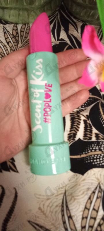 Купить Scent Of Kiss Pop Love от Armand Basi