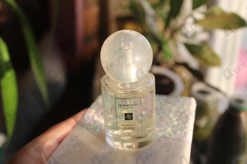 Парфюмерия Frangipani Flower 2021 от Jo Malone