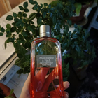 Отзывы Abercrombie & Fitch First Instinct Together