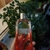 Парфюмерия First Instinct Together от Abercrombie & Fitch