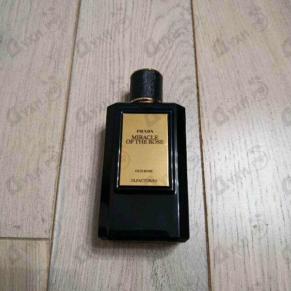 Отзывы Prada Mirages Miracle Of The Rose