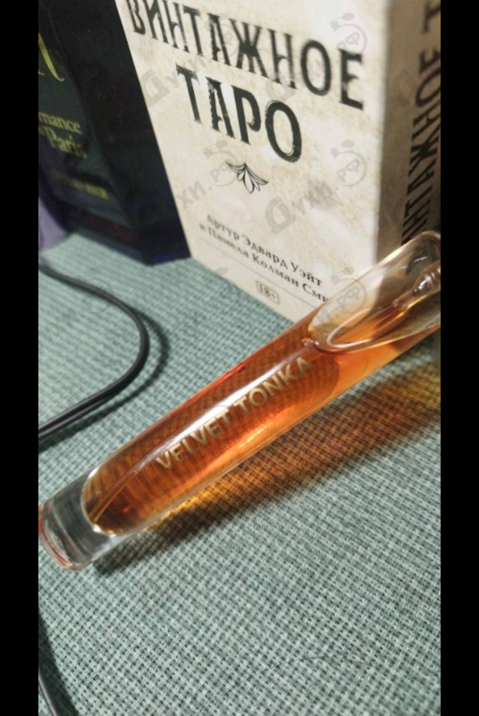 Купить Velvet Tonka от Parfums BDK