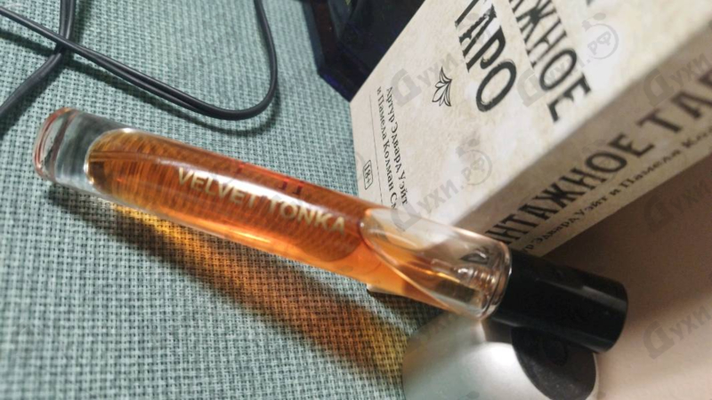 Духи Velvet Tonka от Parfums BDK