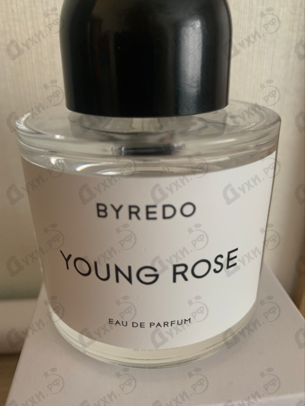 Купить Young Rose от Byredo Parfums