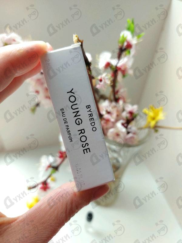 Парфюмерия Young Rose от Byredo Parfums