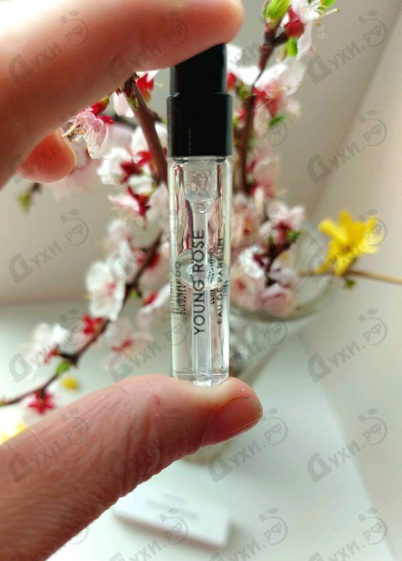 Купить Young Rose от Byredo Parfums