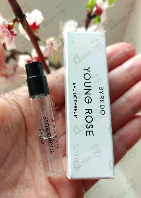 Отзывы Byredo Parfums Young Rose