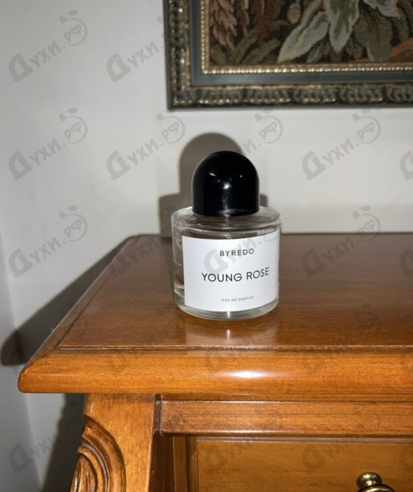 Парфюмерия Young Rose от Byredo Parfums