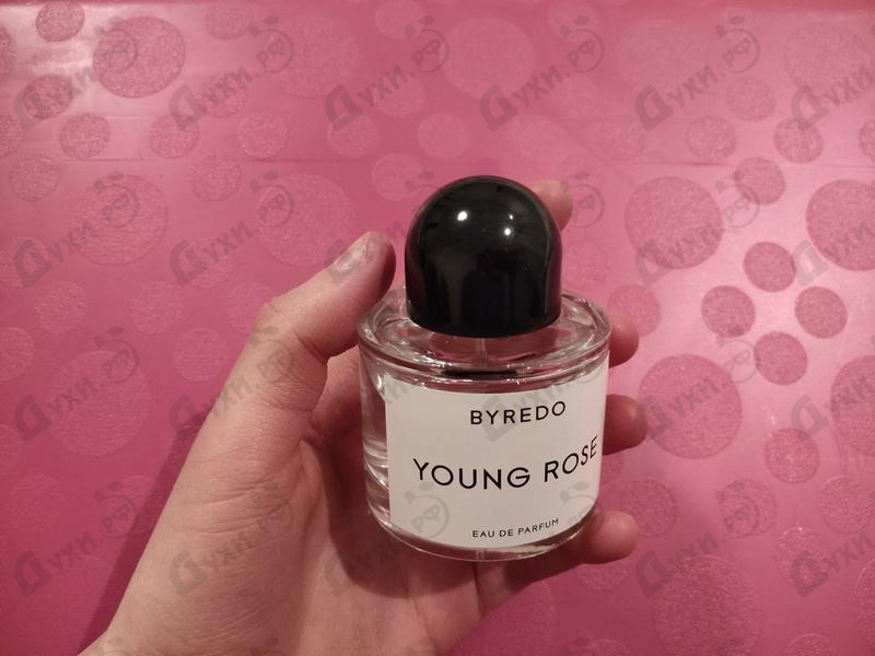 Парфюмерия Young Rose от Byredo Parfums