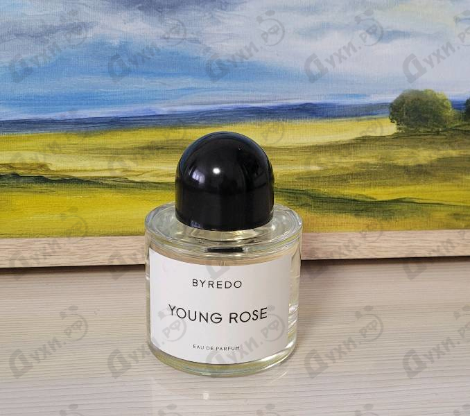 Купить Young Rose от Byredo Parfums