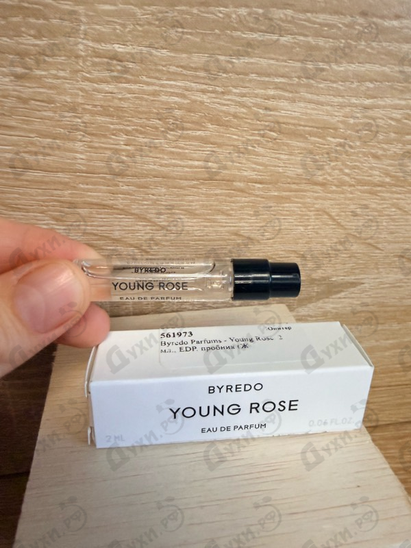 Купить Young Rose от Byredo Parfums