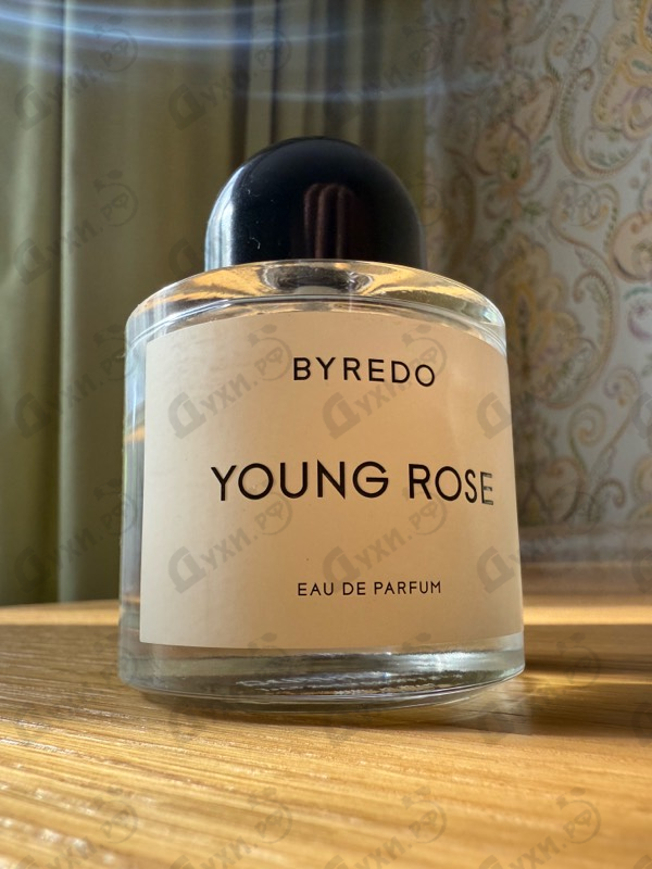 Духи Young Rose от Byredo Parfums