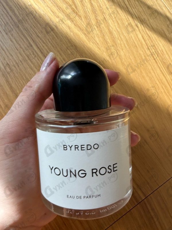 Парфюмерия Young Rose от Byredo Parfums